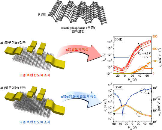 알루미늄 접합금속을 사용해 흑린의 박막 두께를 제어해 N형 반도체 또는 N형-P형 반도체 특성을 동시에 가지게 된다.  IBS 제공